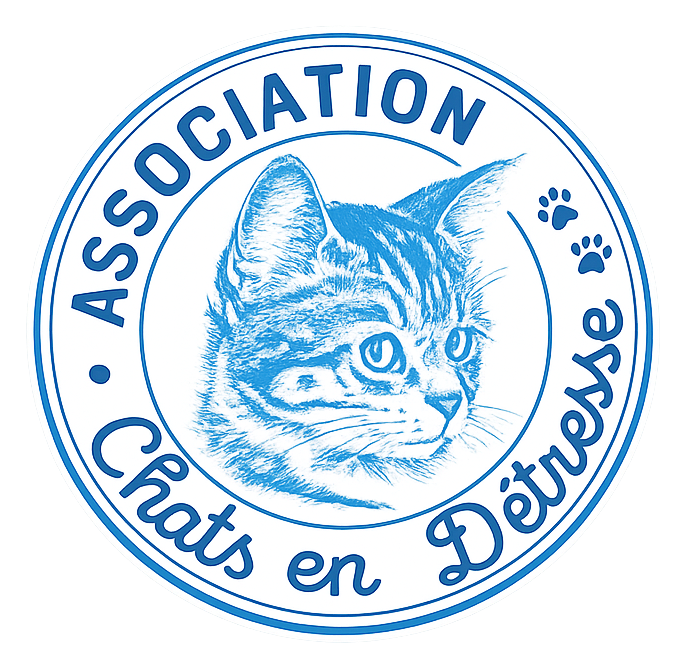 Chats en Détresse