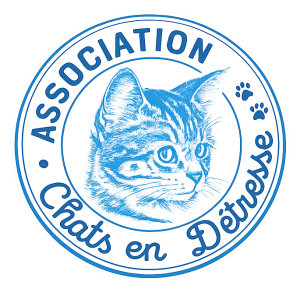 Chats en Détresse
